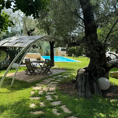 Palms Bed and Breakfast