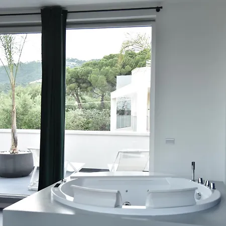 Palms Bed & Breakfast 4*