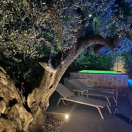 Palms 4*
