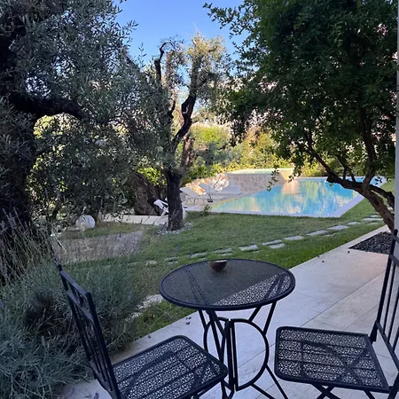 Palms Fasano